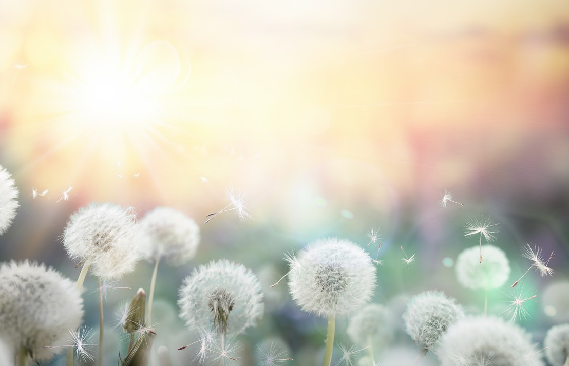 Le verbe « faire » : faut-il s’en défaire ou s’y faire?