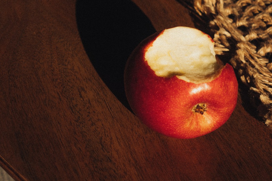 Propos subversifs sur l’accord du participe passé